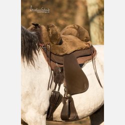 Barefoot Lazy Mountain