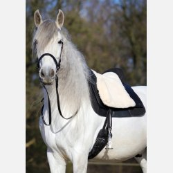 Sde til Barefoot Madrid