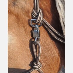 Panik karabinhage  lille