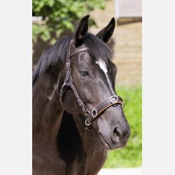 Barefoot  ' Shape -IT ' Kapsun