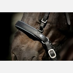 Nsebnd Shape-It-Soft