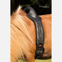 Longeringsgjord 'SAVE-MY-Spine' til pony