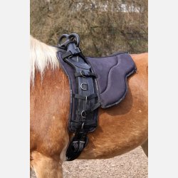 Sde til longeringsgjord