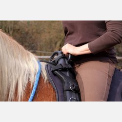 Sde til longeringsgjord