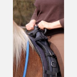 Sde til longeringsgjord