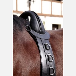 Longeringsgjord 'SAVE-MY-Spine' til pony