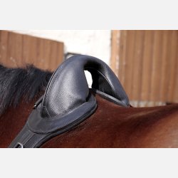 Longeringsgjord 'SAVE-MY-Spine' til pony