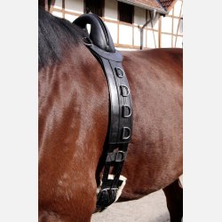 Longeringsgjord 'SAVE-MY-Spine' til pony