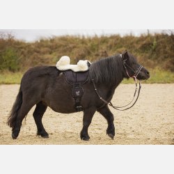 Pakke: Brne Ride on Pad &amp; Freuldssde