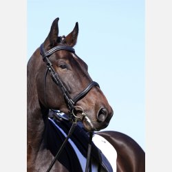 Wellington Contour 2 i 1 hovedtj