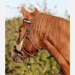 Barefoot Seneca Rebgrime