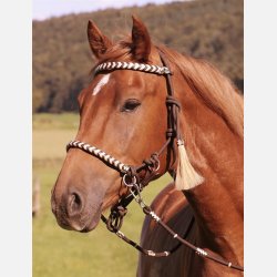 Barefoot Seneca Rebgrime