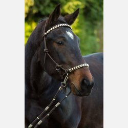 Barefoot Seneca Rebgrime