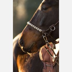 Barefoot Seneca Rebgrime