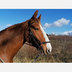 Contour Trail Hovedtj