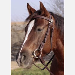 Barefoot Missoula Nut Westernhovedtj