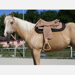 Barefoot Virginia Rose 