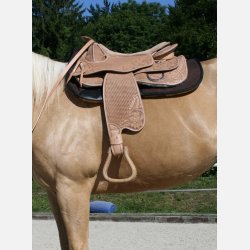 Barefoot Virginia Rose 