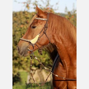 Barefoot Seneca Rebgrime