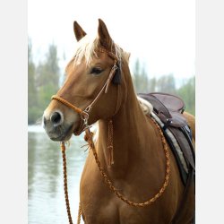 Barefoot Amber "Sidepull"