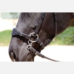 Komplet Bitless Bit hackamore - 3 dele