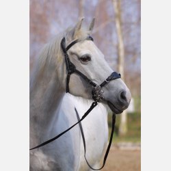 Barefoot  ' Contour Physio ' trense