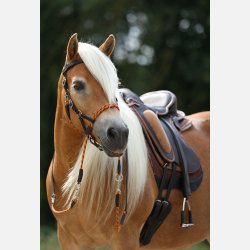 Barefoot Syringa sidepull