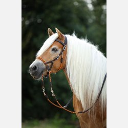 Barefoot Syringa sidepull