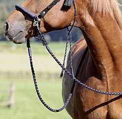 Tjler (BEN / WESTERN)