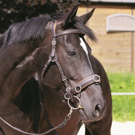 Trenser, tøjler & tilbehør